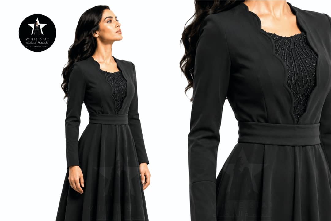 Elegant women fashion clothing dress collection
